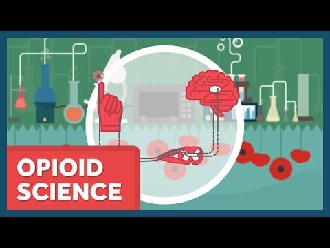 Hydromorphone in Research: Current Scientific Studies & Future Investigation Areas